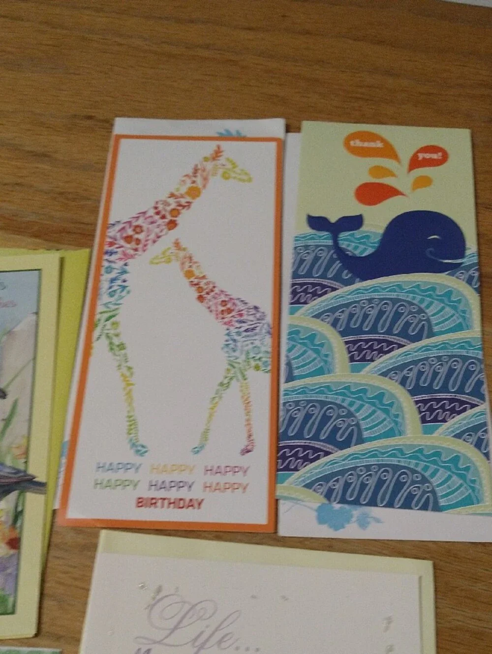 Animal Greeting Cards Assortment - Cats Dogs Birds Other